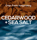 Set of three MARLOWE cedarwood and sea salt deodorants, natural scent with sleek packaging, for everyday freshness.
